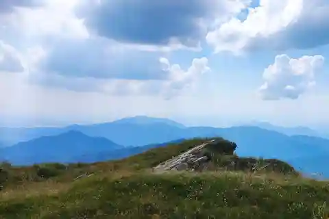 Vanaf Capolago: Monte Generoso Vetta Retourtje Trein Ticket
