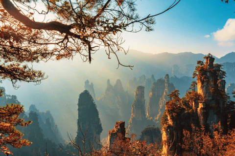 Parco Nazionale delle Foreste di Zhangjiajie: Ingresso con navetta