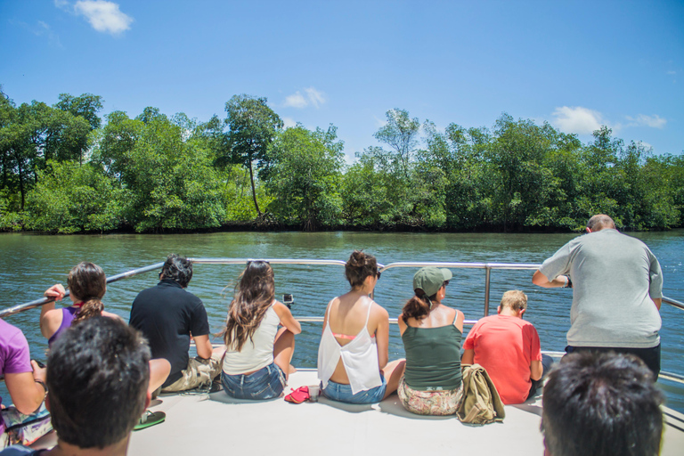 2in1: Parco Nazionale di Los Haitises + Cascata di Yanigua-SPATour guidato in tutte le lingue