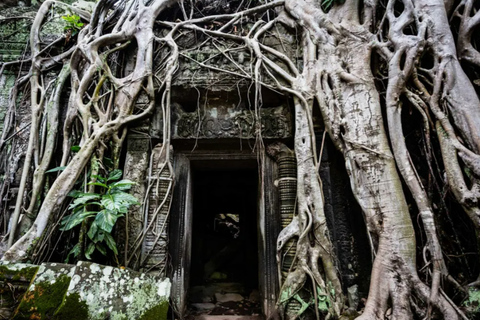 Lever de soleil à Angkor Wat et petite visite guidéeGrandes visites privées avec guide anglophone