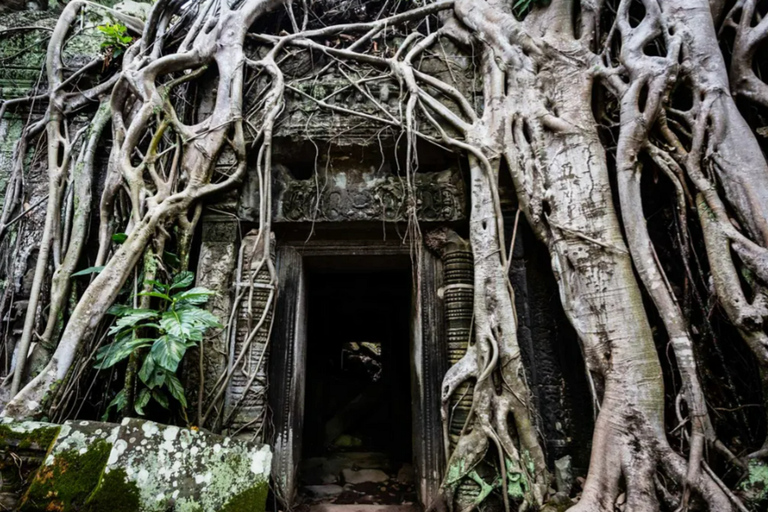 Amanecer en Angkor Wat y Pequeño Recorrido con Guía de TurismoGrandes Visitas Privadas con guía de habla inglesa