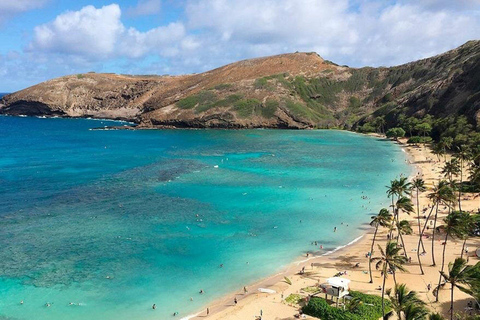 Oahu: Grand Circle Island Tour with Haleiwa