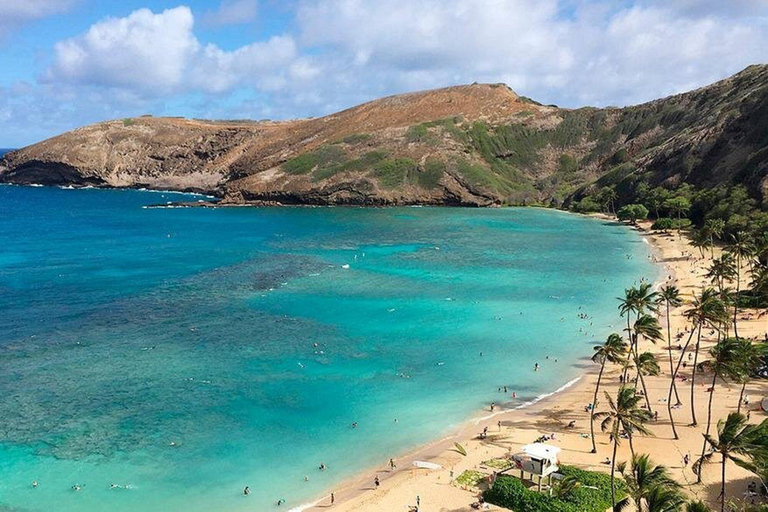 Oahu: Grand Circle Island Tour with Haleiwa