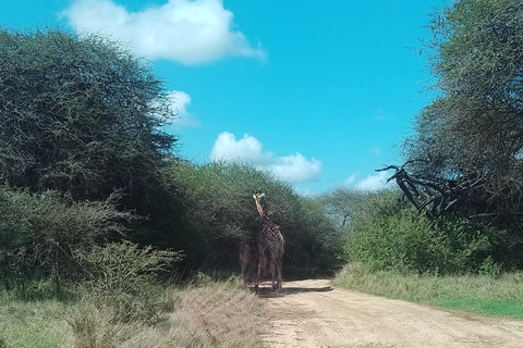 Mombasa: Wildlife Sanctuary Guided Nature Trail Tour Wildlife Sanctuary Guided Nature Trail Tour