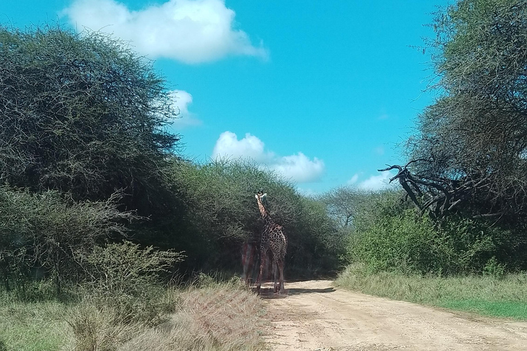 Mombasa: Wildlife Sanctuary Guided Nature Trail Tour Wildlife Sanctuary Guided Nature Trail Tour