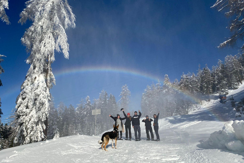 Ehrwald: Zugspitz Schneeschuhwanderung Tour mit Bergblick