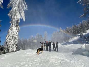 Ehrwald: Zugspitze Snowshoe Hiking Tour with Mountain Views