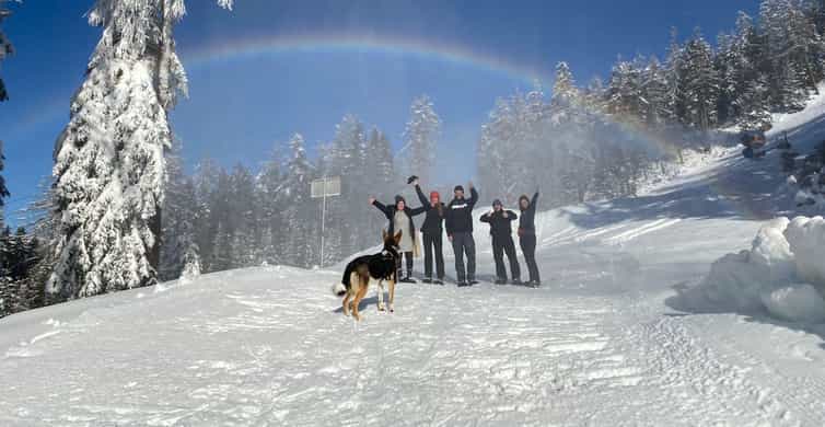 Dog Friendly Dog Mountain Snowshoe Trail 13+ Thousand Dog Hiking
