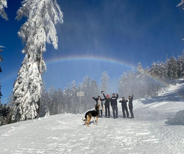 Ehrwald: Zugspitze Caminhada com raquetes de neve com vista para as montanhas