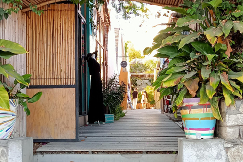 Tour Todos Santos Magical Town, Hotel California