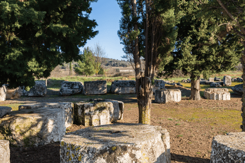 Visite privée de luxe : Sites antiques de Némée et dégustation de vin