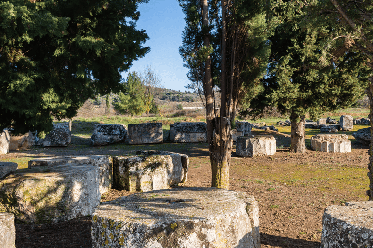 Visite privée de luxe : Sites antiques de Némée et dégustation de vin