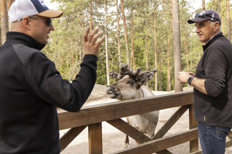 赫尔辛基：驯鹿公园与马厩私人游赫尔辛基：驯鹿公园与马厩私人导览游