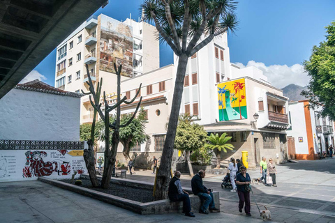 Los Llanos de Aridane: Open-Air Art and Culture Tour. CEMFAC Museum Los Llanos de Aridane: CEMFAC Open-Air Art & Culture Museum