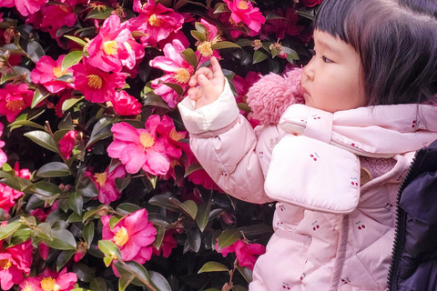 Jeju : visite d&#039;une journée avec Hanbok, Hallasan, Camellia et Jjimjilbang