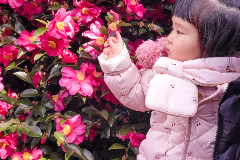 Jeju : visite d&#039;une journée avec Hanbok, Hallasan, Camellia et Jjimjilbang