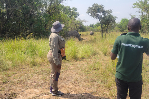 Kampala: Ziwa Rhino trektocht met ophaal- en terugbrengservice