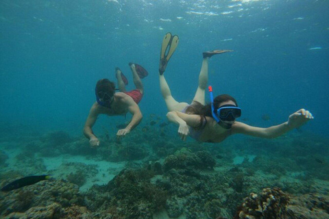 Lombok : Gili Trawangan, Meno &amp; Air Privat tur för snorkling