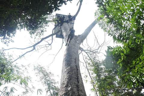 Phuket: ATV-tur och zipline-äventyr vid Big Buddha ViewpointZipline 18 stationer