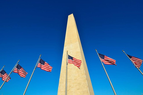 Washington DC: Tour serale o mattutino dei monumenti