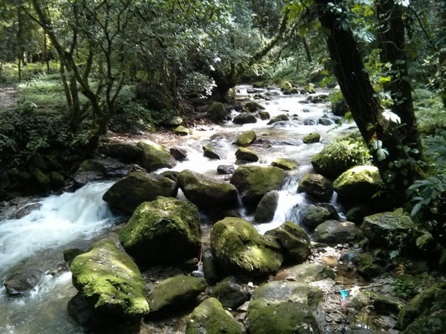 Kathmandu: 3 days Chispani Nagarkot Trek