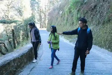 Nature Walk of Mussoorie (2 Hours Guided Walking Tour)