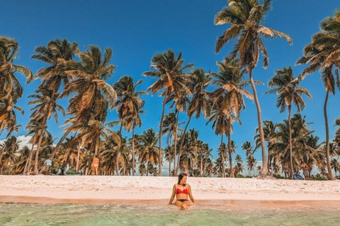 Bavaro : Excursion en hors-bord VIP sur l&#039;île de Saona avec Open BarVisite VIP de l&#039;île de Saona !