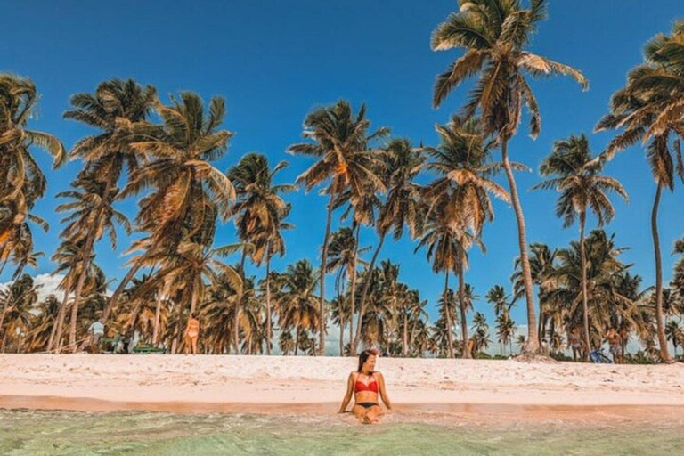 Bavaro: Saona Island VIP Speedboat Tour med öppen barVIP-turné på Saona Island!