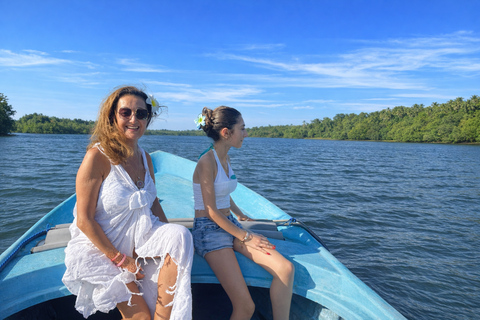 From Colombo: Galle, Madu River, & Turtle Hatchery Day Trip