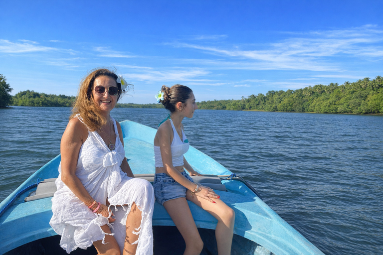 From Colombo: Galle, Madu River, & Turtle Hatchery Day Trip