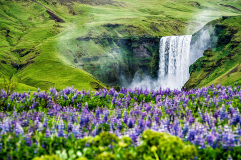 Iceland’s Iconic Landmarks: A 5-Day Ring Road AdventureWithout Extra Options