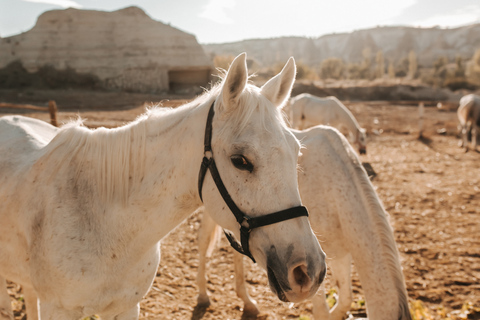 Istanbul: 2-Day Cappadocia Trip with Flights & Cave Hotel From Cappadocia: Green Tour with Small Group and Lunch