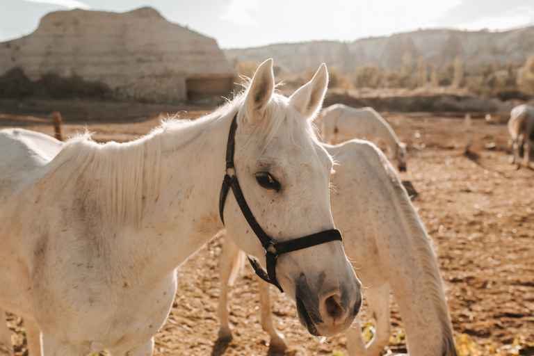 Istanbul: 2-Day Cappadocia Trip with Flights & Cave Hotel From Cappadocia: Green Tour with Small Group and Lunch
