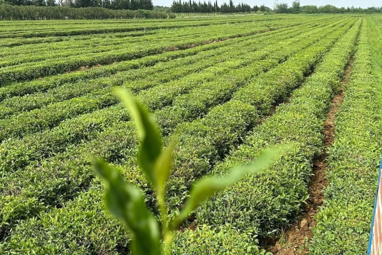 From Baku: Lankaran, Lerik, and Astara 2-Day Tour