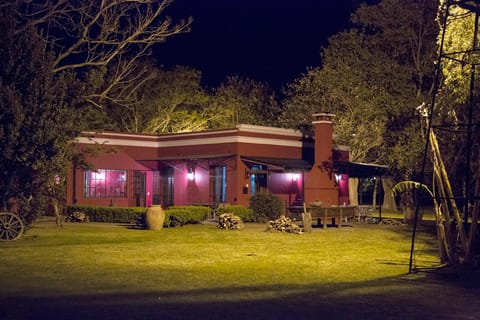 Buenos Aires: Polo Night with Dinner and Wine