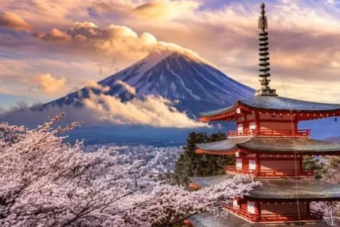 Tokyo: Mount Fuji and Hakone Hidden Gems Tour