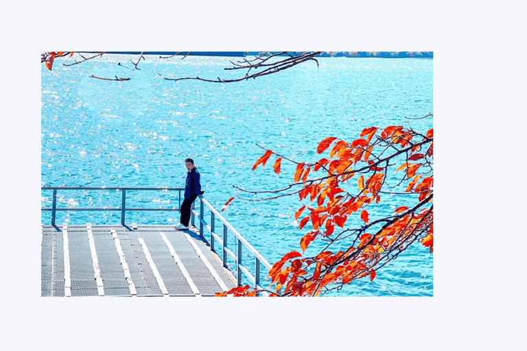 Da Tokyo; tour privato di un giorno a Nikko, servizio di prelievo in hotel con auto.