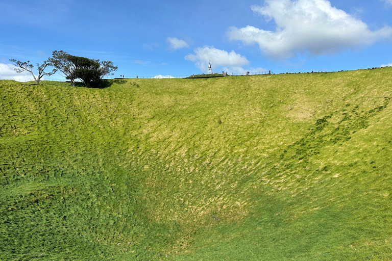 Tour di mezza giornata dei luoghi più interessanti della città di Auckland (tour per piccoli gruppi)