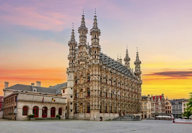 Historical Leuven: Private Tour with Local Guide