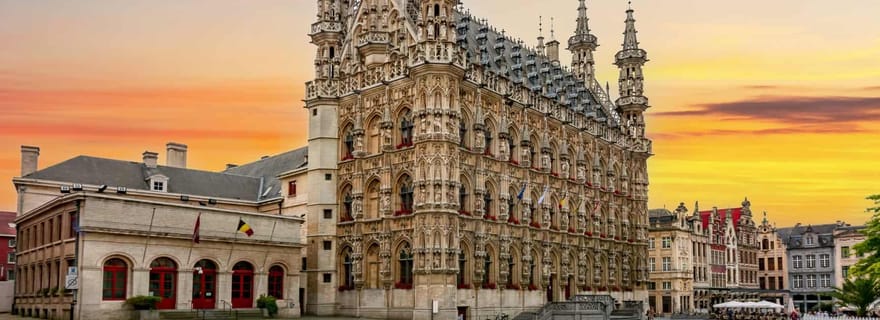 Louvain historique : visite privée à pied avec un guide de la région