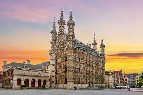 Historical Leuven: Private Tour with Local GuideFrench tour