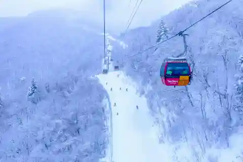 Desde Seúl: teleférico de Balwangsan y rancho Daegwallyeong.