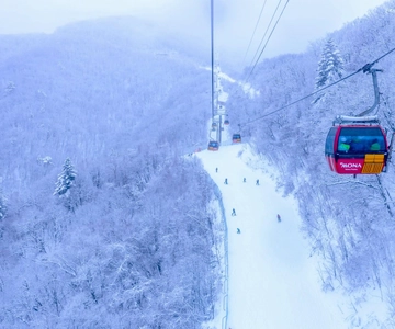 From Seoul: Balwangsan Cable Car and Daegwallyeong Ranch