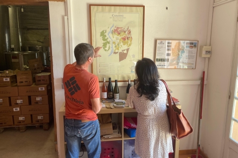 Private Beaujolais wine tour with a French wine expert Lyon: Private Beaujolais Wine Tour with French Sommelier