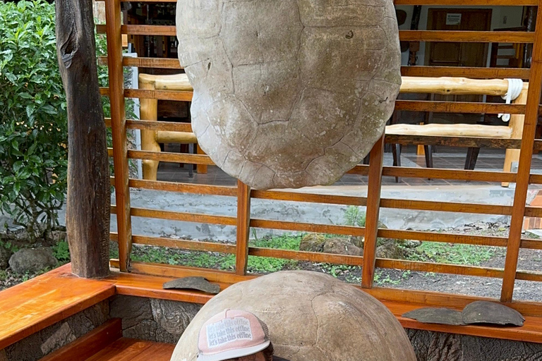 Traslados do aeroporto para o GPS de Galápagos e passeios de destaqueTraslados e passeios do Galapagos Getaway