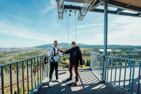 Harzturm: High Swing Experience