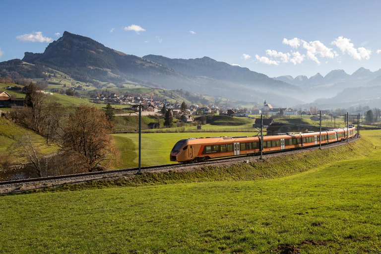 Voralpen-Express: Journey between St. Gallen & Rapperswil One-way ticket from Rapperswil to St. Gallen (1st class)