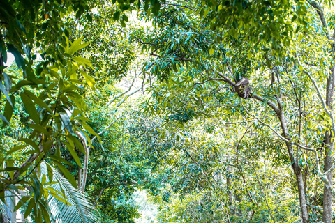 Signatur stadsvandring: Den privata upplevelsenSignature Stadsvandring: Den privata upplevelsen