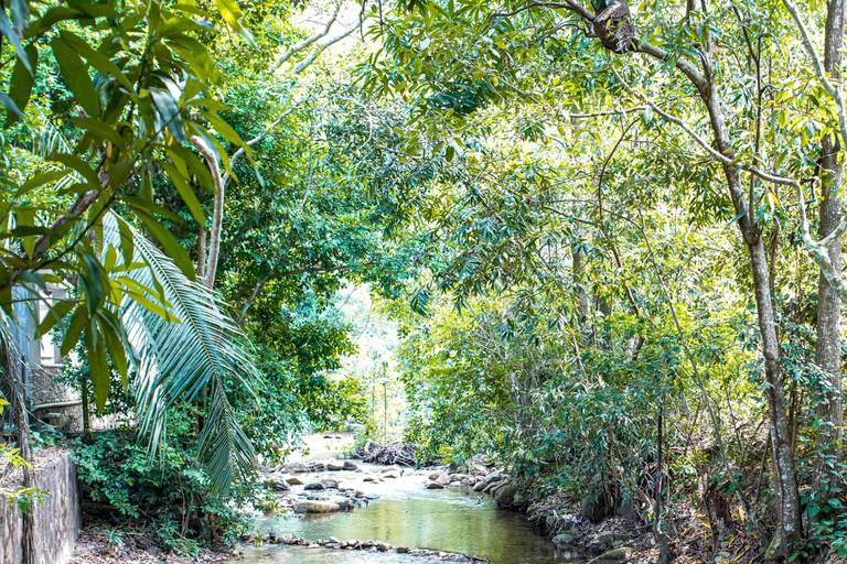 Signatur stadsvandring: Den privata upplevelsenSignature Stadsvandring: Den privata upplevelsen