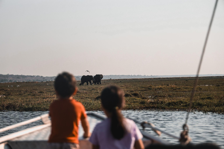 Chobe River Private 3 Hour Boat Safari